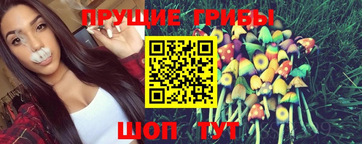 Галлюциногенные грибы Cubensis  Галлюциногенные грибы прущие грибы  Вход с VPN  Знаменск 