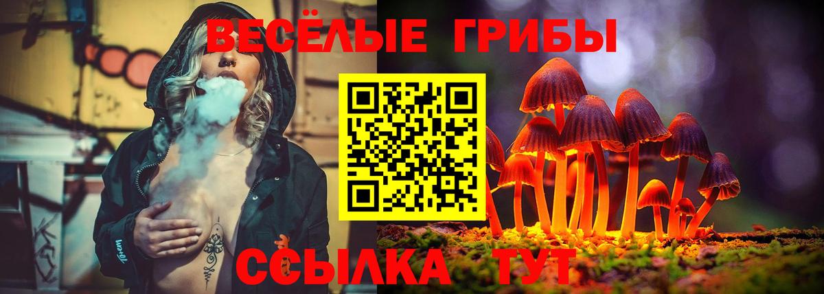 Галлюциногенные грибы мухоморы Знаменск